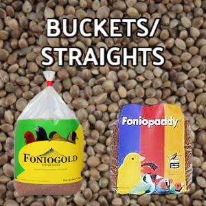 Buckets/ straights